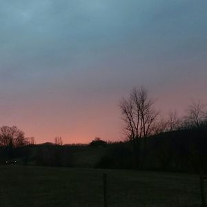 Meet your Posher, Autumn